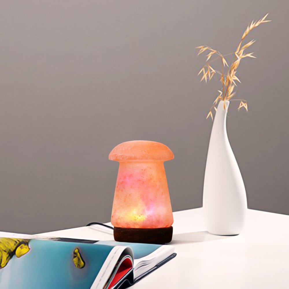 Himalayan Salt- USB Mushroom shape- Best Gift Item
